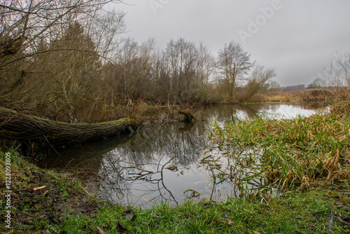 A peaceful river during fall colors with beautiful reflections in the water, Scania county, Sweden. A dark sky in the background