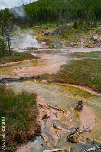 Hot steam and water flow from a geothermal pool in Yellowstone in a vertical image photo