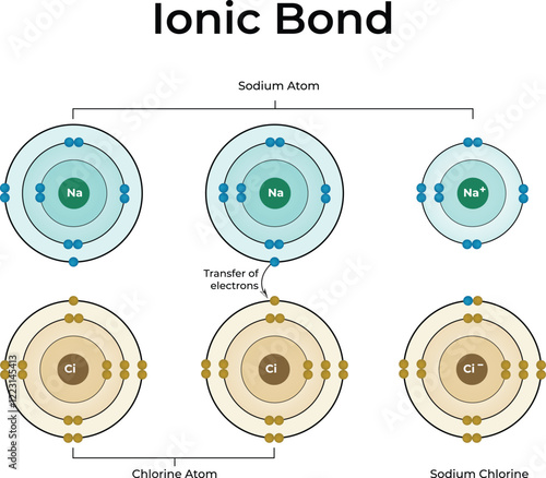 Ionic Bond Formation Design Vector Illustration