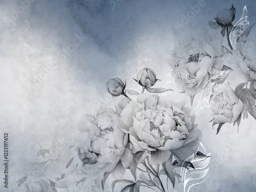 Fototapeta Beautiful blooming peonies on an abstract ombre background. Mural for wallpaper, poster, card.	