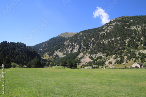 Wallpaper Mural High mountains, with pine trees and green meadows, with the blue sky in the background. Nature wallpaper. Torontodigital.ca