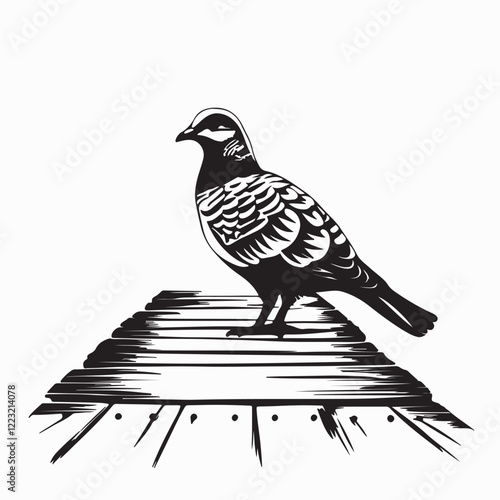 Beautiful Pigeon Perched on a Wooden Board at the Dock, Embracing Nature in Vector