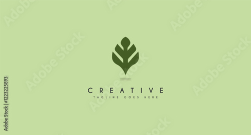 vector monstera leaf logo design vector illustration.