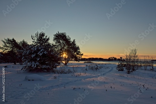 Sunrise at seashore on a cold winter day with snow covered ground, Kallahdenniemi, Helsinki, Finland. photo