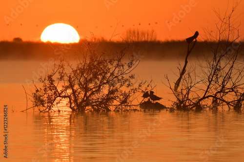 sunset over the river