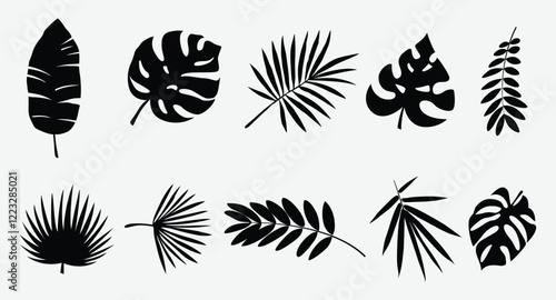 Tropical Leaves Set. Vector Illustration, Leaf Silhouettes Set