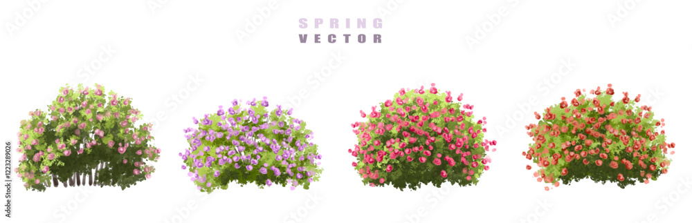 Fototapeta premium vector set of roses, Vector of tree or blooming side view isolated on white background ,watercolor tree elevation for landscape concept,environment scene,eco design,blossom garden for spring