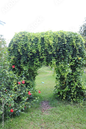 Green archways provide shade, enhance aesthetics, and create a peaceful, inviting atmosphere. They are popular in wedding venues, Zen gardens, and outdoor spaces, symbolizing growth, renewal, and harm