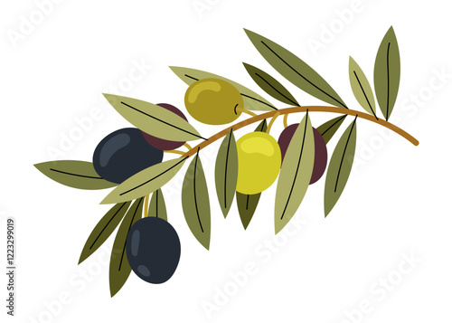 Olive tree. Different olives on branch. Natural ingredient for mediterranean cuisine. Fresh and ripe olives illustration.