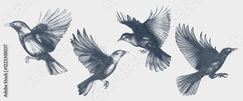 Set of birds with a retro photocopy effect. A grunge-punk texture for creating collages. The effect of grain and dotted lines. Vector.