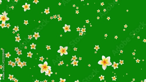 Wallpaper Mural Flowers Flying On Green Screen  Torontodigital.ca