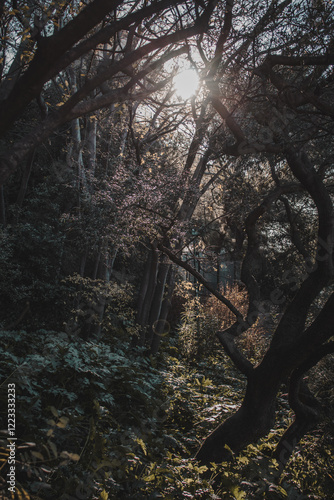 Naturaleza....