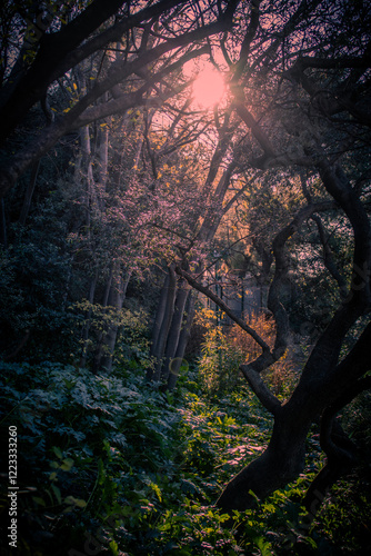 Naturaleza....