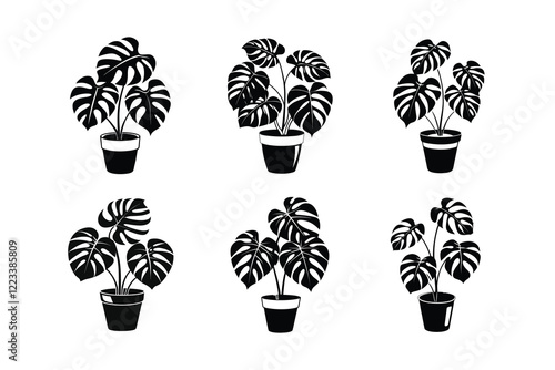 Monstera deliciosa plant in pot silhouette vector