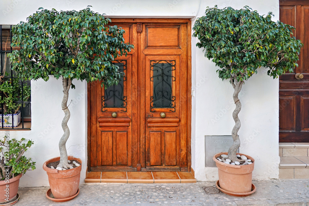 Fototapeta premium Entrance door of old classical whitewashed house decorated with potted tree plants. Typical street of small village in Spain
