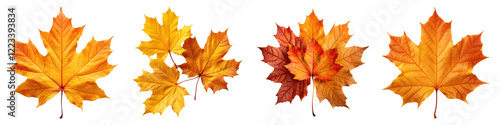 Wallpaper Mural Autumn leaves isolated on transparent background, PNG, Set of Torontodigital.ca