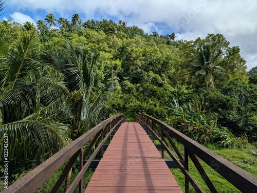 Schilderij op canvas Wooden bridge in the jungle in Saint Lucia - January 2025