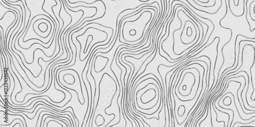 The white on grey contours vector topography stylized height of the lines. The concept of a conditional geography scheme and the terrain path. Ultra wide. Map vector terrain Illustration. 