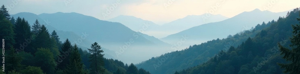 Fototapeta premium Serene forest with misty mountains in the background, trees, forest