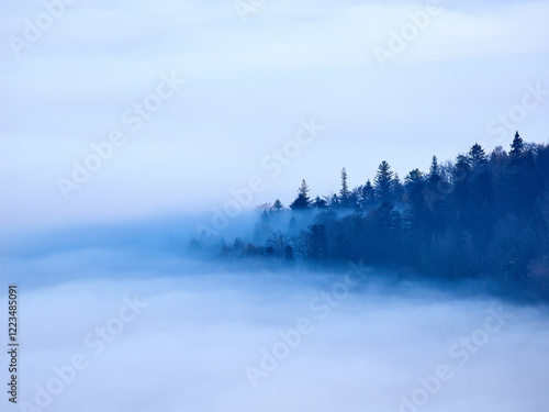 Fototapeta Naklejka Na Ścianę i Meble -  Jesienne Beskidy skąpane we mgłach 