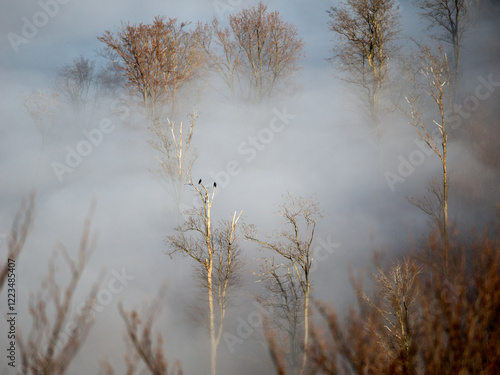 Jesienne Beskidy skąpane we mgłach  photo