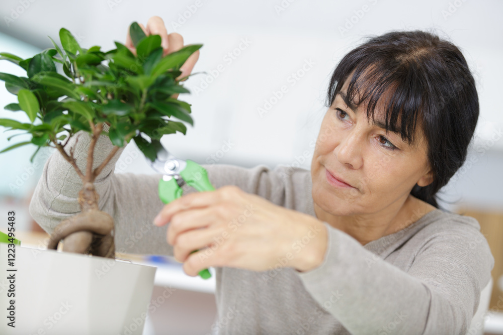 mature woman trimming bonsai tree mature woman trimming bonsai tree