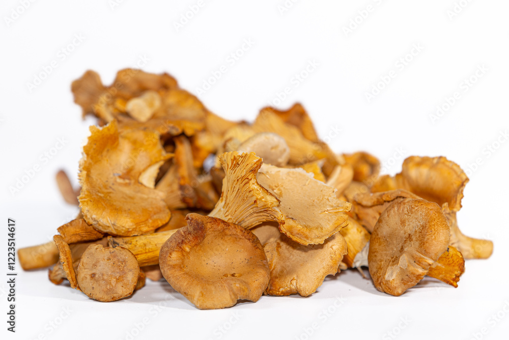 Close-up view of freeze-dried chanterelle mushrooms with their distinct golden color and wavy edges. Perfect for culinary or natural ingredient concepts. Close-up view of freeze-dried chanterelle mushrooms with their distinct golden color and wavy edges. Perfect for culinary or natural ingredient concepts.