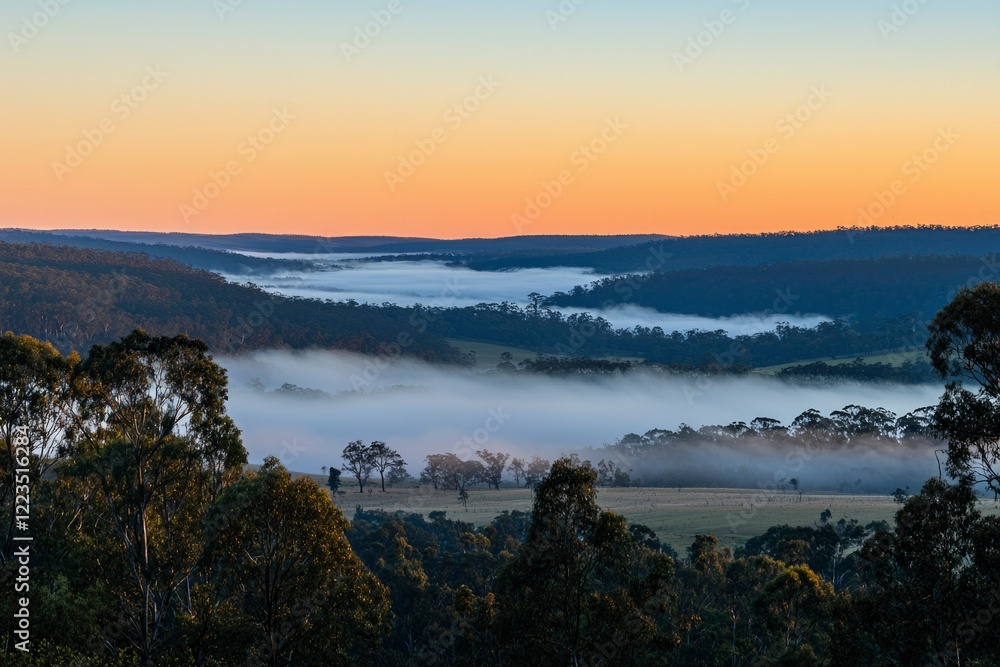 Obraz premium Serene Sunrise Over Foggy Valley Landscape