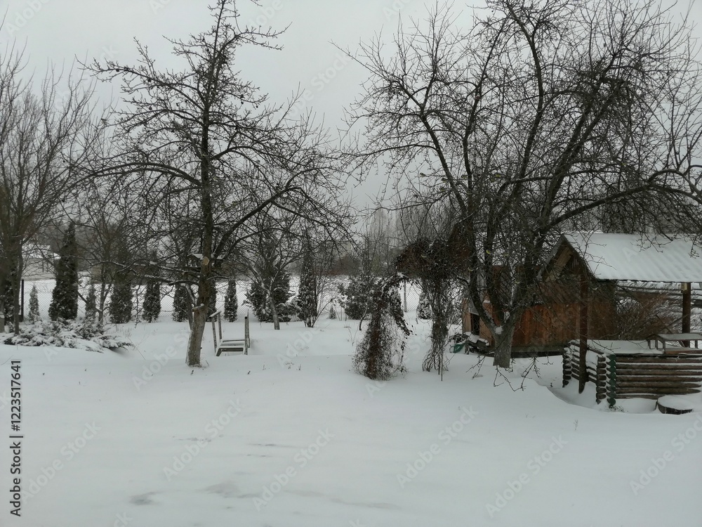 Fototapeta premium snow covered landscape