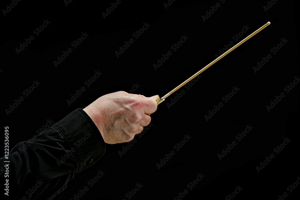 Fototapeta premium Orchestra conductor on stage