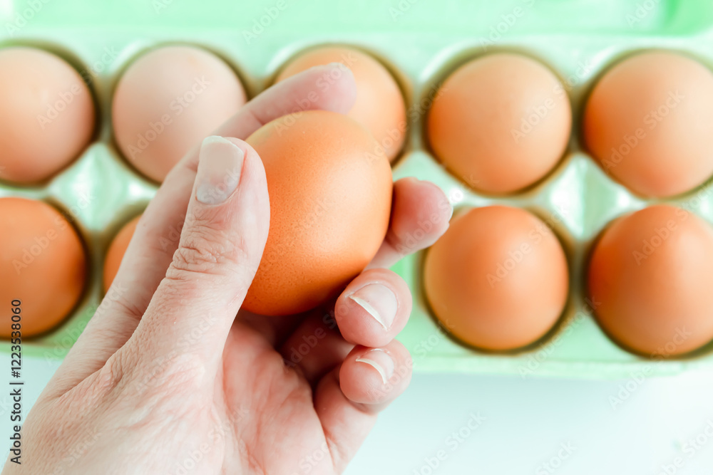 Woman hand holds a raw chicken egg in hand. Food background. Woman hand holds a raw chicken egg in hand. Food background.