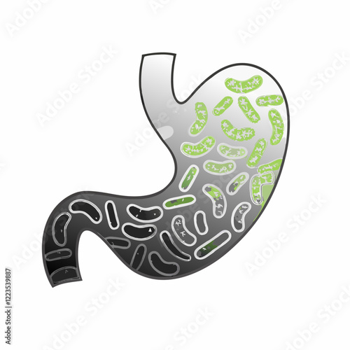 Bad human stomach vector illustration (5)