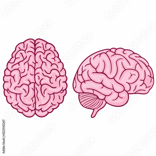 Pink brain silhouettes set vector illustration (1)