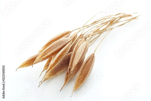 Detailed view of Job s tears Adlay millet against a white backdrop photo