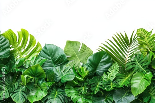 Indoor floral display featuring tropical plants like Monstera palm rubber plant pine and bird s nest fern set against a white backdrop photo