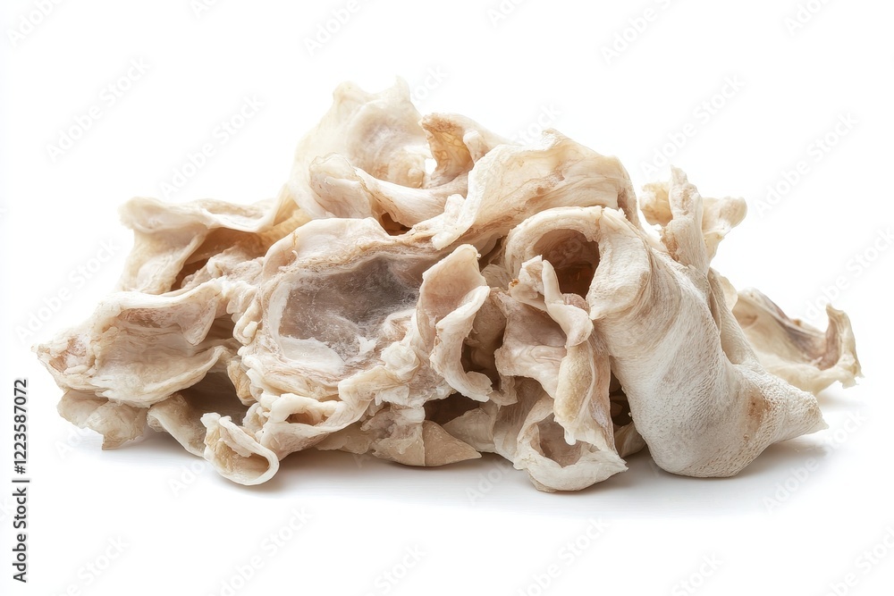 uncooked tripe against a white backdrop uncooked tripe against a white backdrop
