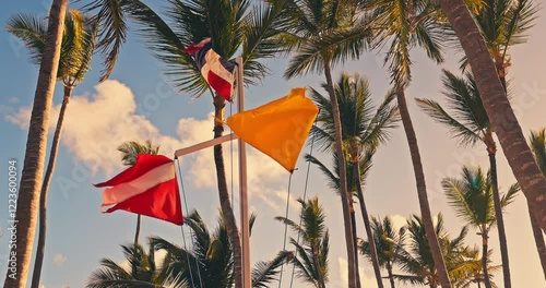 Vivid flags flutter under a warm sky, sea, beach surrounded by tall tropical palm trees Yellow flag, Dominican Republic, Barotseland photo