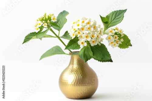 A golden vase adorned with delicate white flowers showcasing elegance and simplicity against a clean, minimalist backdrop isolated on transparent background
