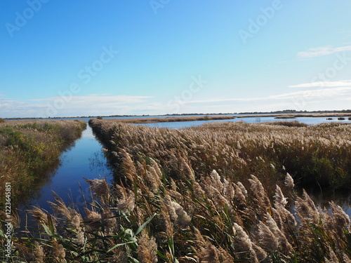 Canvas Print Camargue