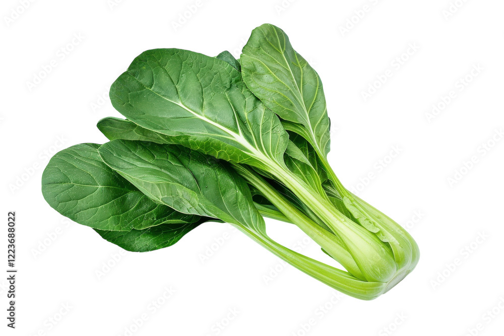 Fresh bok choy on a minimalist background, showcasing vibrant green leaves and crisp texture, perfect for healthy cooking and meals isolated on transparent background