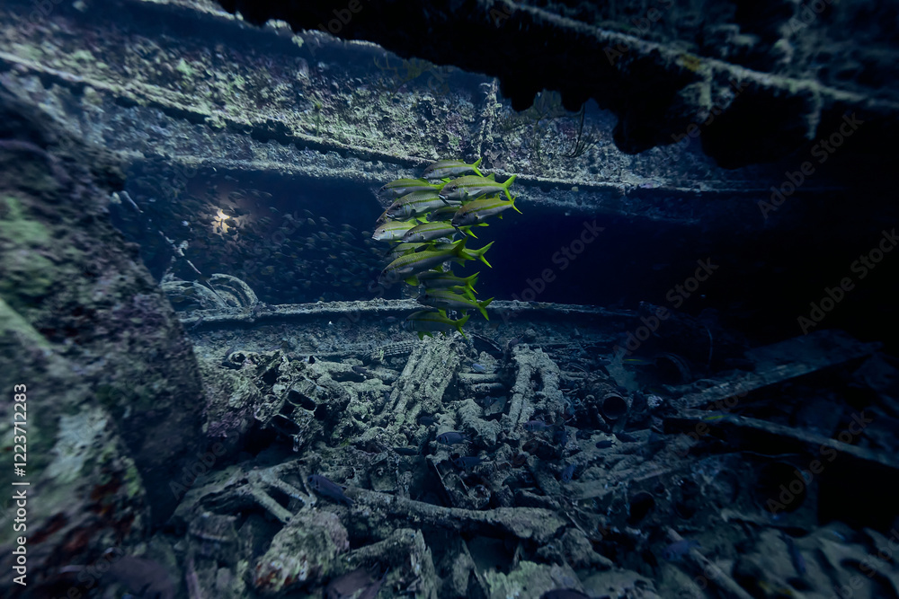WWII truck inside the ship wreck of SS Thistlegorm - British cargo steamship sunk by German bomber aircraft in the Red Sea in 1941 near Sharm El Sheikh, Egypt. Underwater photography and travel