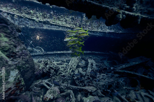 WWII truck inside the ship wreck of SS Thistlegorm - British cargo steamship sunk by German bomber aircraft in the Red Sea in 1941 near Sharm El Sheikh, Egypt. Underwater photography and travel