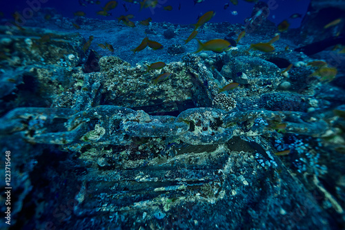 Obraz na płótnie Mysterious underwater view on deck the ship wreck of SS Thistlegorm - British cargo steamship sunk by German bomber in the Red Sea, near Sharm El Sheikh, Egypt. Underwater photography and travel w salonie