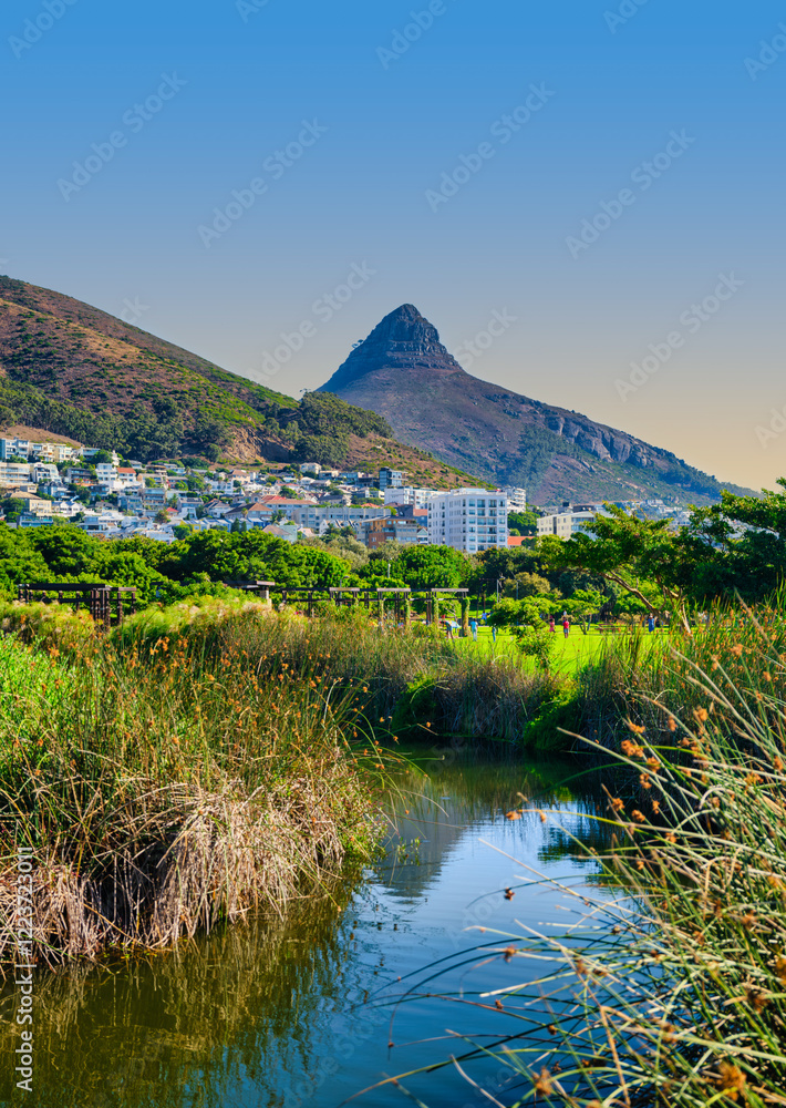 Vertical shot of Green Point Park with a serene river stream, Sea Point buildings, and Lion's Head mountain in the background, Cape Town, South Africa