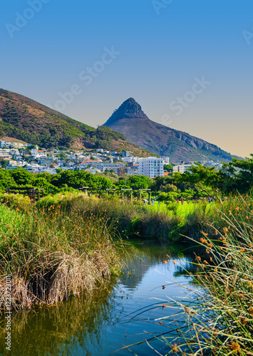 Obraz na płótnie Vertical shot of Green Point Park with a serene river stream, Sea Point buildings, and Lion's Head mountain in the background, Cape Town, South Africa w salonie