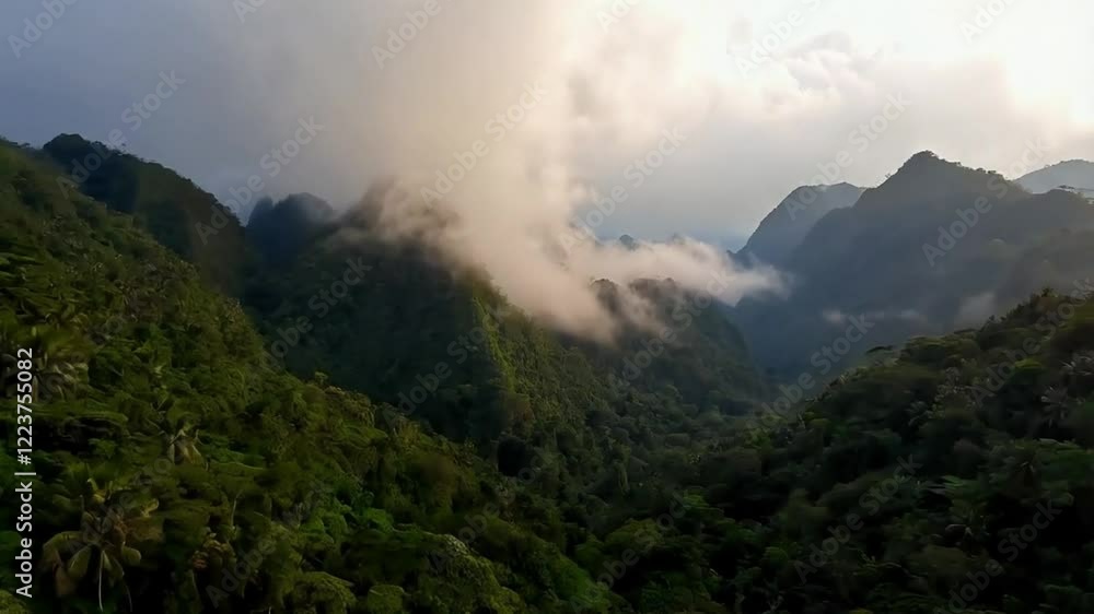 Dense tropical forest covers huge mountains, Colombia, drone flying over mist. Dense tropical forest covers huge mountains, Colombia, drone flying over mist.