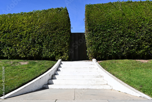 Stairs leading to a lagre gren hedge with a closed gate and blue sky above photo