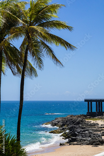 Beautiful landscape of Fonte do Boi beach in Salvador Bahia Brazil