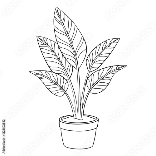 Calathea doodle style line art. calathea houseplant in pot Hand drawn black and white. Evergreen indoor plant foliage element for web graphic design poster tattoo Coloring page. Vector illustration