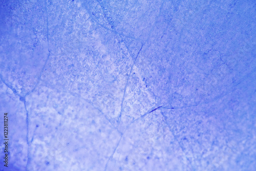 Macro texture of frozen butterfly pea flower water photo